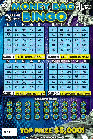 Money Bag Bingo